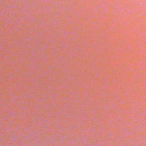 Meet your Posher, Gabrielle